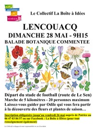 Lencouacq - Balade botanique commentée - 28 Mai