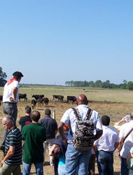 Grande Soirée Festive