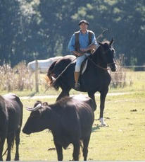 Jan à cheval - Ganaderia de Buros