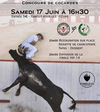 Sarbazan - Concours de Cocardes - 17 Juin