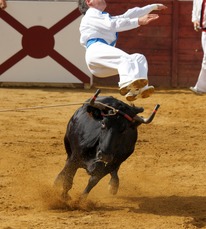Saut périlleux vrillé