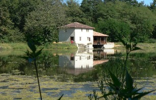 Étang de la Gaube - Arthez-d'Armagnac