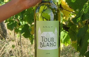 SCEA Château Tour Blanc - Parleboscq