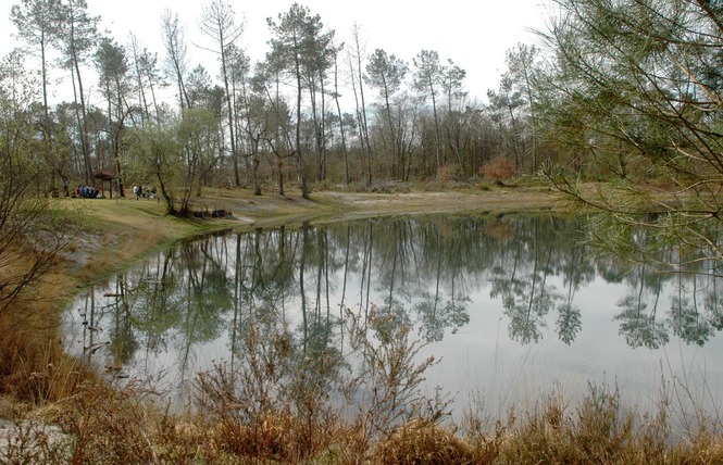 Lagunes de Nabias 2 - Arue