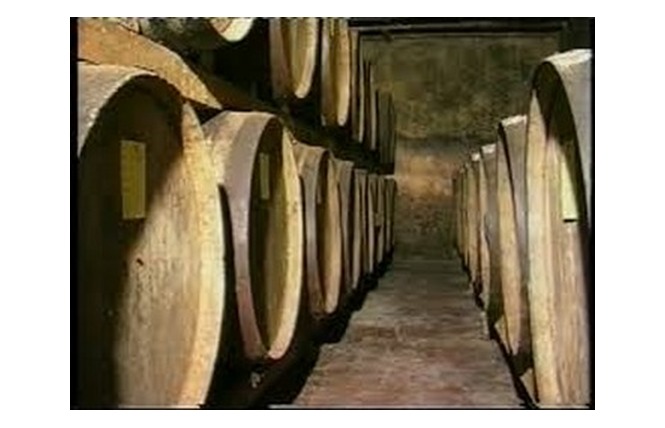 Domaine de Maouhum 3 - Le Frêche