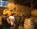Domaine Départemental d'Ognoas 1 - Arthez-d'Armagnac