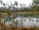 Lagunes de Nabias 2 - Arue