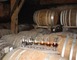 Domaine de Laubesse 3 - Hontanx