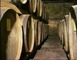 Domaine de Maouhum 3 - Le Frêche