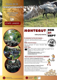 Montégut - Transhumance - 21 Septembre