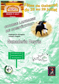 Affiche Deyris