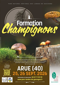 Arue - Formation champignons - 25 & 26 Septembre