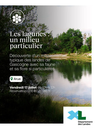 Arue - Les lagunes, un milieu particulier (2) - 17 Juillet