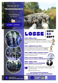 Losse - Transhumance - 24 Septembre