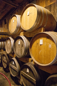 Producteur Armagnac - Mauvezin d'Armagnac - Domaine d'Espérance - Chai (6)