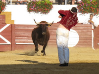 Roquefort - Course Landaise - Copyright J.M Tinarrage