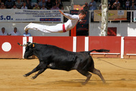 Saut de l'ange - Copyright Céline LAFFARGUE
