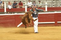 course landaise2