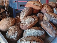 2026.09.27 - Stage d'initiation Pain au levain