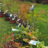 571236865_1423976853063990_3158739939730985093_n