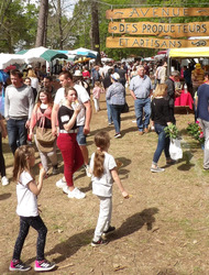 Foire du 1er Mai
