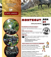Montégut - Transhumance - 21 Septembre