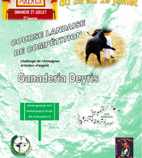 Affiche Deyris