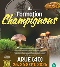 Arue - Formation champignons - 25 & 26 Septembre