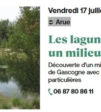 Arue - Les lagunes, un milieu particulier - 17 Juillet