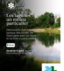 Arue - Les lagunes, un milieu particulier (2) - 17 Juillet