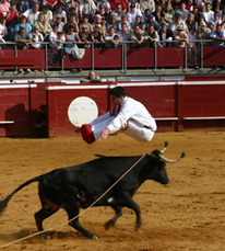 Course landaise