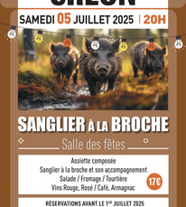 Créon d'Armagnac - Sanglier à la broche - 5 Juillet