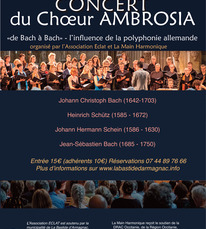 Concert AMBRIOSA