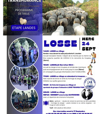 Losse - Transhumance - 24 Septembre