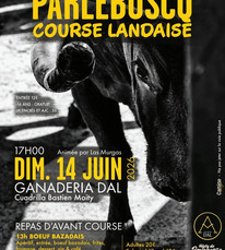Parleboscq - Course landaise - 14 Juin