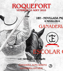 Roquefort - Novilladas des Fêtes - 15 Août