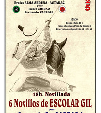 Roquefort - Novilladas des Fêtes (3) - 15 Août