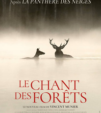 Roquefort - Cinéma Le chant des forêts - 28 Janvier