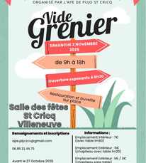 St Cricq Villeneuve - Vide grenier - 2 Novembre