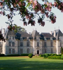 Château de Ravignan - fleurs printemps