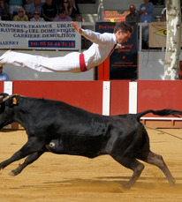 Saut de l'ange - Copyright Céline LAFFARGUE