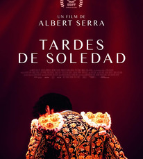 Tardes de soledad