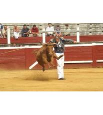 course landaise2