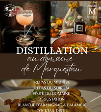 distillation marquestau