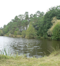 étang ste foy
