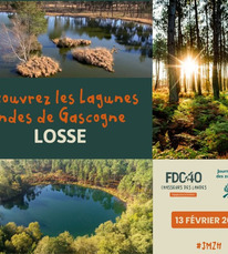 Lagunes des landes de gascogne