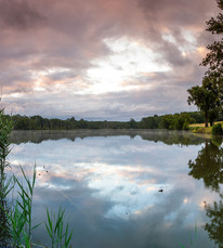 2024 - HONT - Etang d'Hontanx