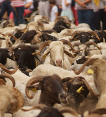 2024 - TOUJ - Musée du Paysan Gascon - ©Jan Weevers
