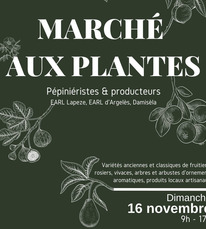 571229254_1423976623064013_8662984484831513632_n