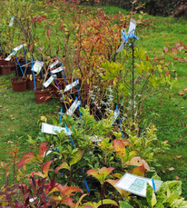 571236865_1423976853063990_3158739939730985093_n